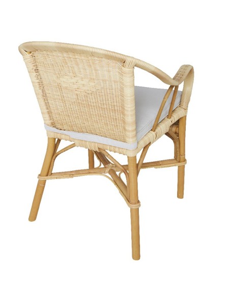 Fauteuil grand père en rotin+ résine  bas dossier vue arrière