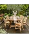Albertine natural rattan and resin chair