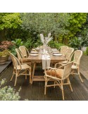 Albertine natural rattan and resin chair