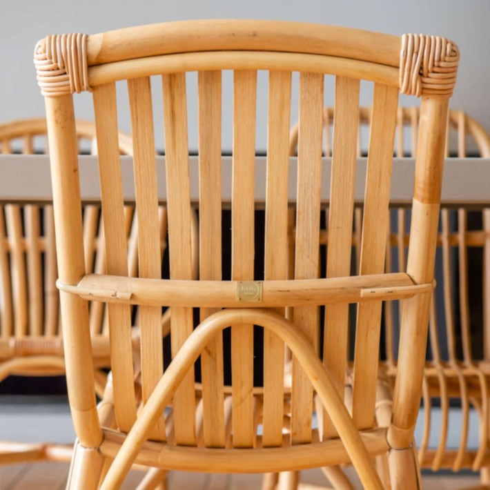 Vintage rattan chair David