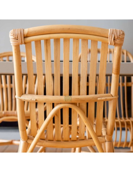 Vintage rattan chair David