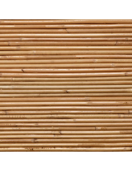 Zoom plateau rotin table basse Diabolo petit modèle