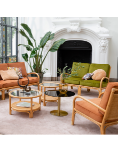 Riviera rattan 2 seater orange velvet 2