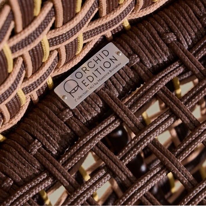 Focus on the ORCHID EDITION brochure