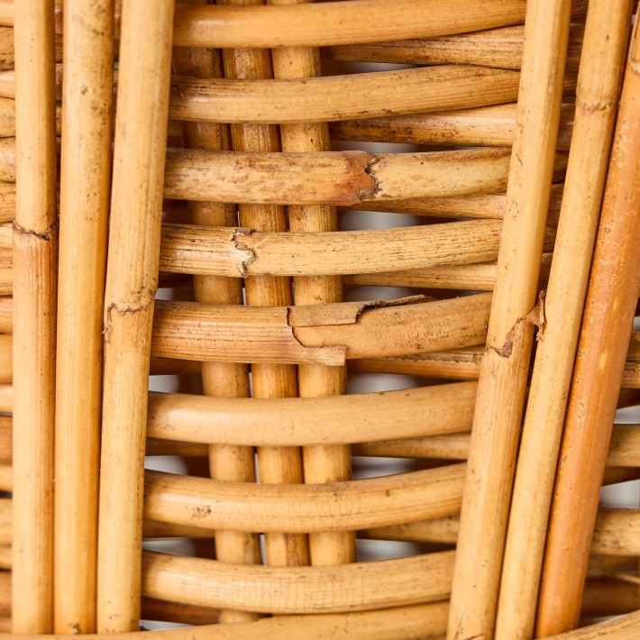 Detail of rattan defect