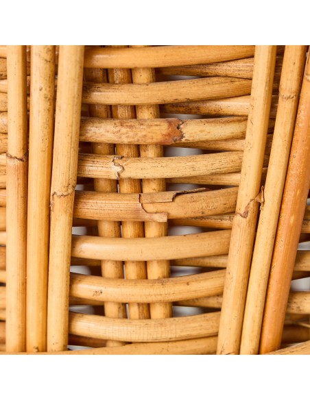 Detail of rattan defect