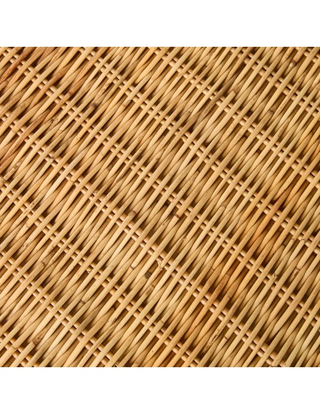 Zoom in on rattan defect