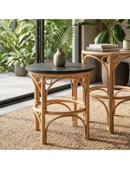 Ambiance coffee table from the GINGKO collection, black top